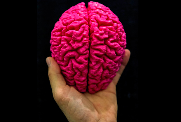 Австралийские ученые напечатали на 3-D принтере ткани мозга