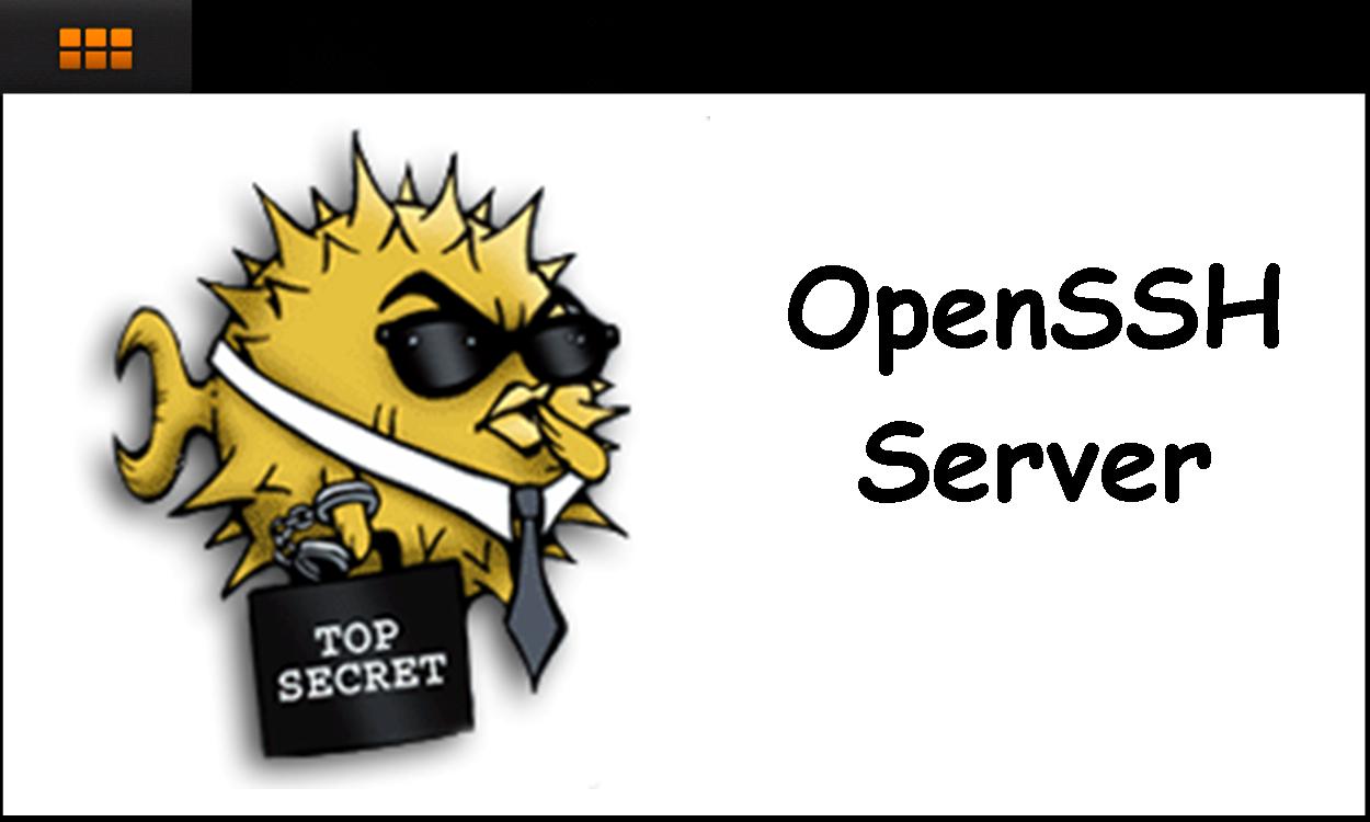 В OpenSSH 7.0 устранены четыре уязвимости