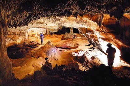 Ученые расшифровали ДНК человека возрастом 400 тысяч лет