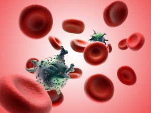 Ученые изучают использование стволовых клеток в борьбе с ВИЧ