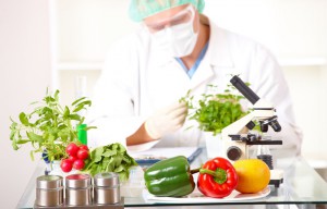 В НГУ будут проводить исследования в области продовольственной безопасности