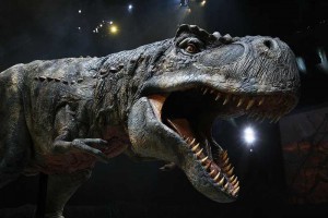 Обнаружены зубы динозавра возрастом 81 млн. лет