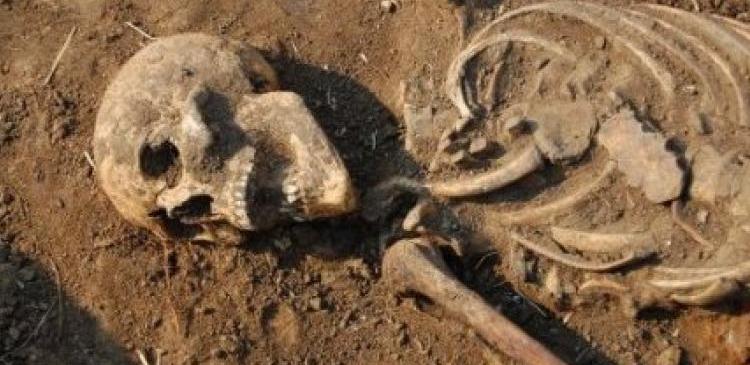 Находки на Алтае подвигли к пересмотру теории происхождения человека